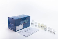 59600 Plasma/Serum Exosome and Free-Circulating RNA Isolation Midi Kit ( 25 preps )